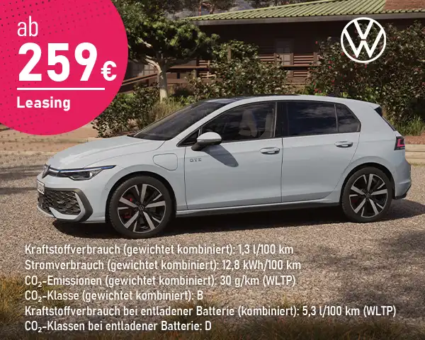 Volkswagen Gewerbe Hybrid